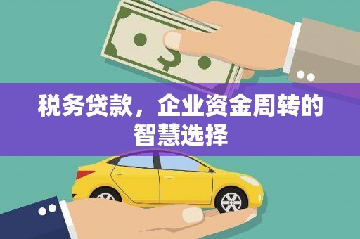 苍南税务贷款，企业资金周转的智慧选择