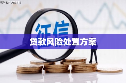 苍南贷款风险处置方案