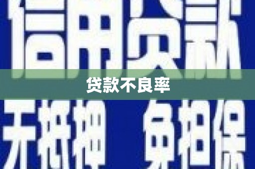 苍南贷款不良率