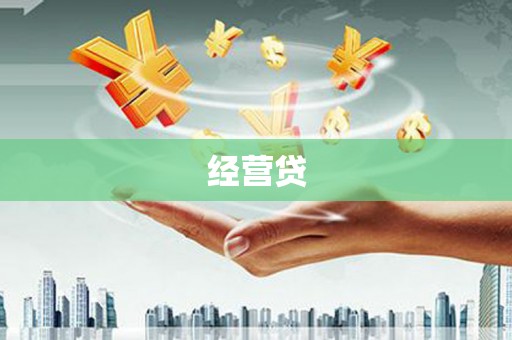 苍南经营贷