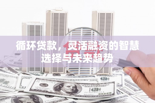 苍南循环贷款，灵活融资的智慧选择与未来趋势