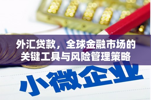 苍南外汇贷款，全球金融市场的关键工具与风险管理策略