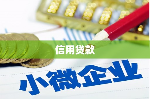 苍南信用贷款
