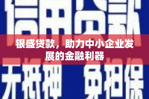 苍南银盛贷款，助力中小企业发展的金融利器