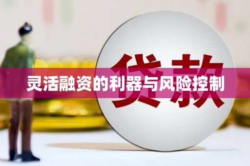 苍南灵活融资的利器与风险控制