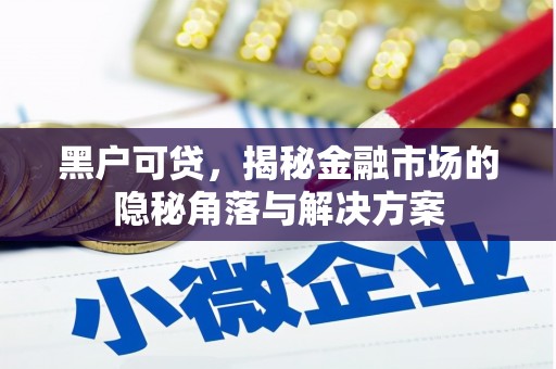 苍南黑户可贷，揭秘金融市场的隐秘角落与解决方案