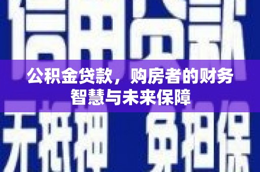 苍南公积金贷款，购房者的财务智慧与未来保障