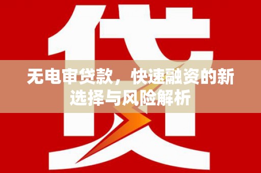 苍南无电审贷款，快速融资的新选择与风险解析