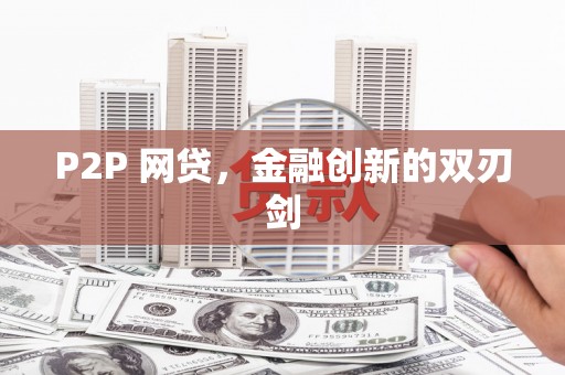 苍南P2P 网贷，金融创新的双刃剑
