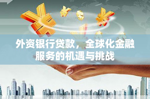 苍南外资银行贷款，全球化金融服务的机遇与挑战