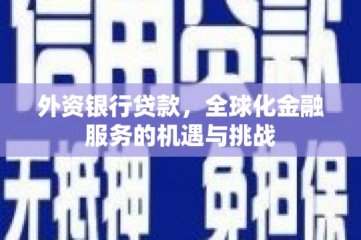 苍南外资银行贷款，全球化金融服务的机遇与挑战