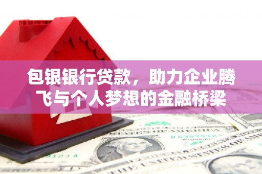 苍南包银银行贷款，助力企业腾飞与个人梦想的金融桥梁