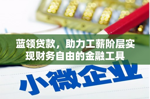 苍南蓝领贷款，助力工薪阶层实现财务自由的金融工具