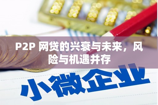 苍南P2P 网贷的兴衰与未来，风险与机遇并存