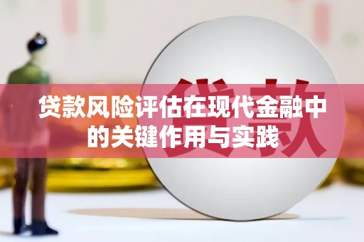 苍南贷款风险评估在现代金融中的关键作用与实践