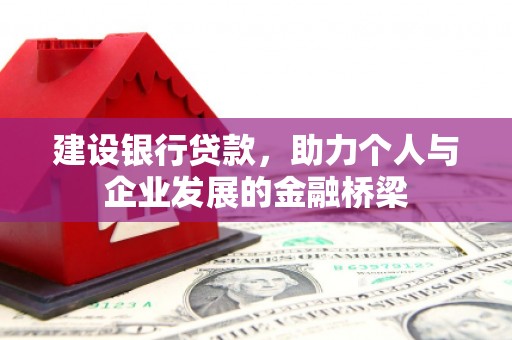 苍南建设银行贷款，助力个人与企业发展的金融桥梁
