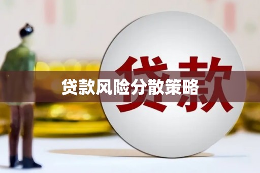 苍南贷款风险分散策略