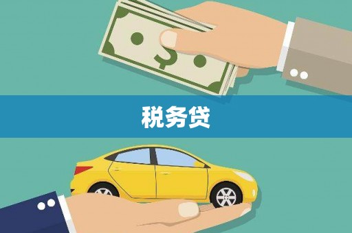 苍南税务贷