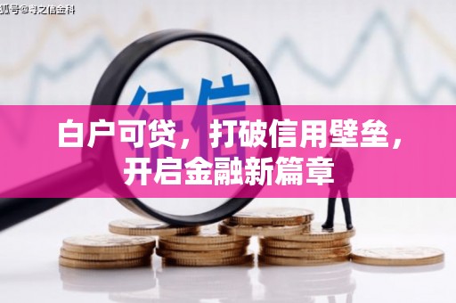 苍南白户可贷，打破信用壁垒，开启金融新篇章