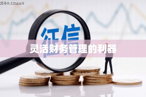 苍南灵活财务管理的利器