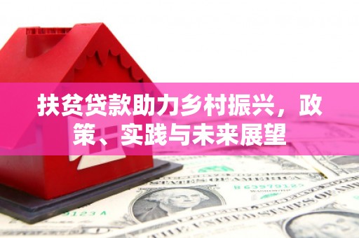 苍南扶贫贷款助力乡村振兴，政策、实践与未来展望