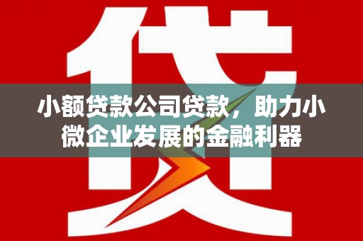 苍南小额贷款公司贷款，助力小微企业发展的金融利器