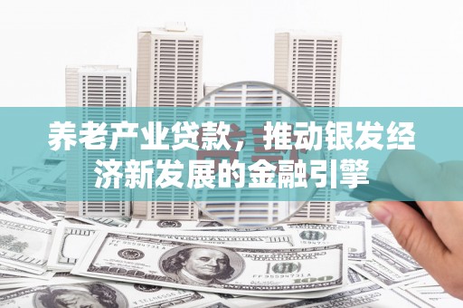 苍南养老产业贷款，推动银发经济新发展的金融引擎