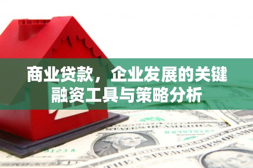 苍南商业贷款，企业发展的关键融资工具与策略分析