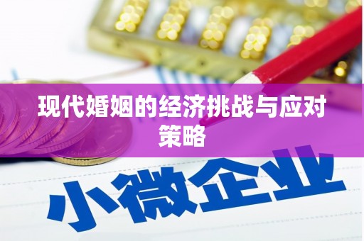 苍南现代婚姻的经济挑战与应对策略