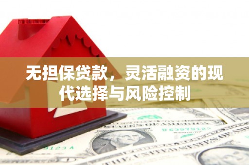 苍南无担保贷款，灵活融资的现代选择与风险控制