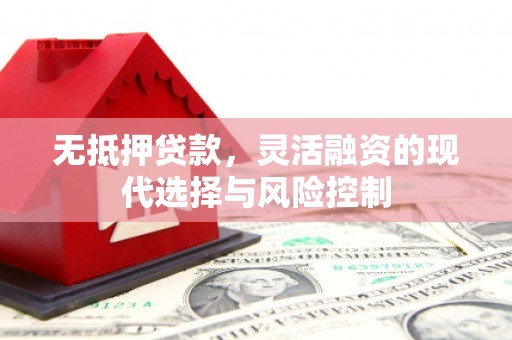 苍南无抵押贷款，灵活融资的现代选择与风险控制