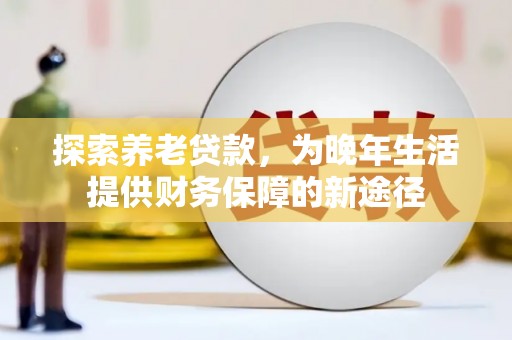 苍南探索养老贷款，为晚年生活提供财务保障的新途径