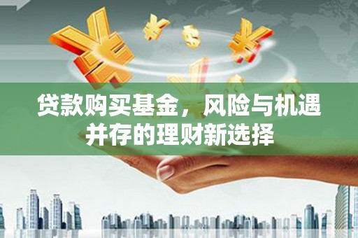 苍南贷款购买基金，风险与机遇并存的理财新选择