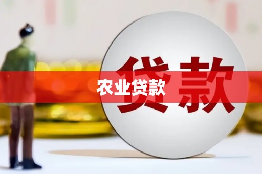 苍南农业贷款