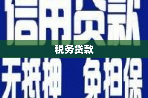 苍南税务贷款