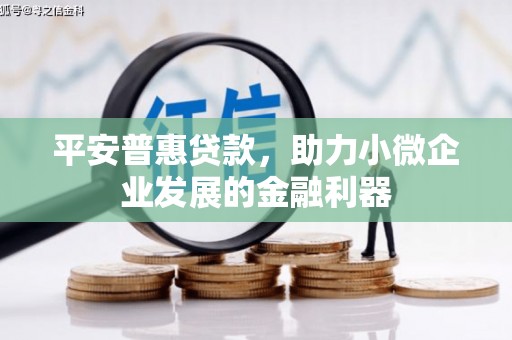 苍南平安普惠贷款，助力小微企业发展的金融利器