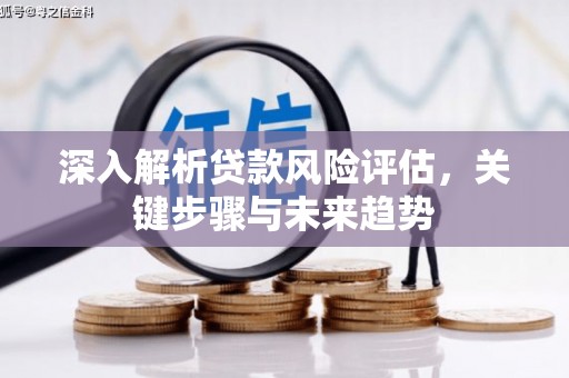 苍南深入解析贷款风险评估，关键步骤与未来趋势