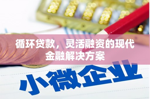 苍南循环贷款，灵活融资的现代金融解决方案