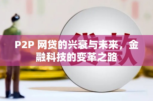 苍南P2P 网贷的兴衰与未来，金融科技的变革之路