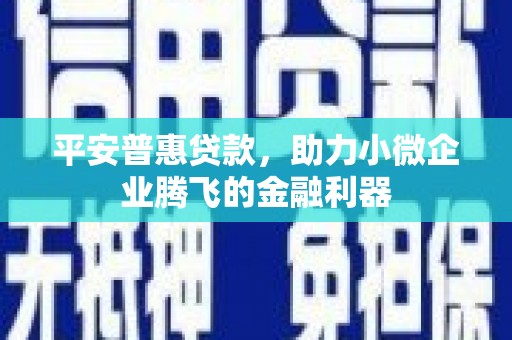 苍南平安普惠贷款，助力小微企业腾飞的金融利器