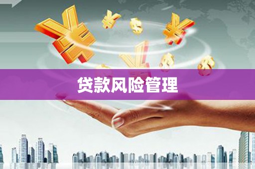 苍南贷款风险管理