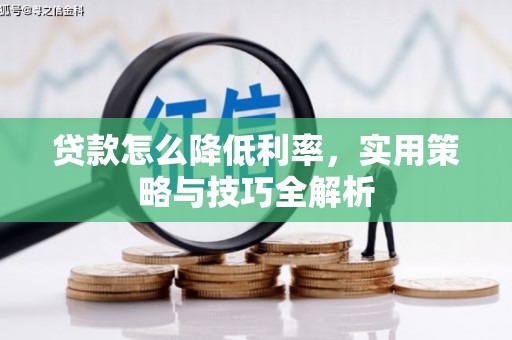 苍南贷款怎么降低利率，实用策略与技巧全解析