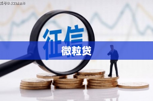 苍南微粒贷