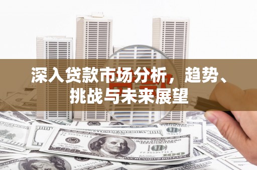 苍南深入贷款市场分析，趋势、挑战与未来展望