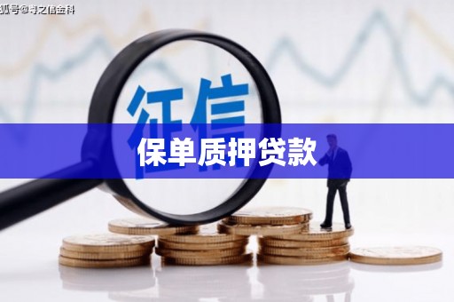 苍南保单质押贷款