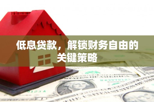 苍南低息贷款，解锁财务自由的关键策略