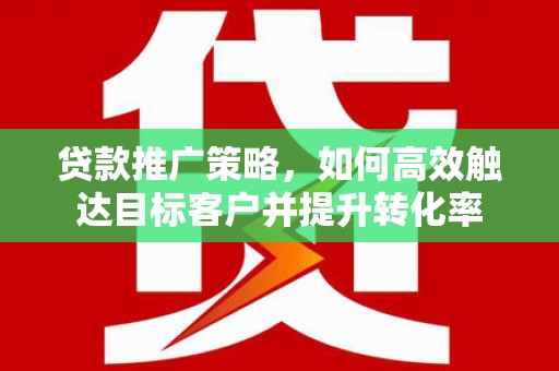 苍南贷款推广策略，如何高效触达目标客户并提升转化率