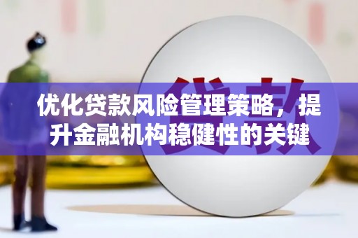 苍南优化贷款风险管理策略，提升金融机构稳健性的关键