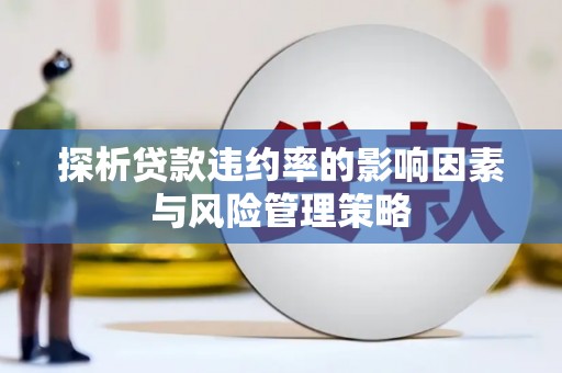 苍南探析贷款违约率的影响因素与风险管理策略
