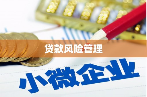 苍南贷款风险管理